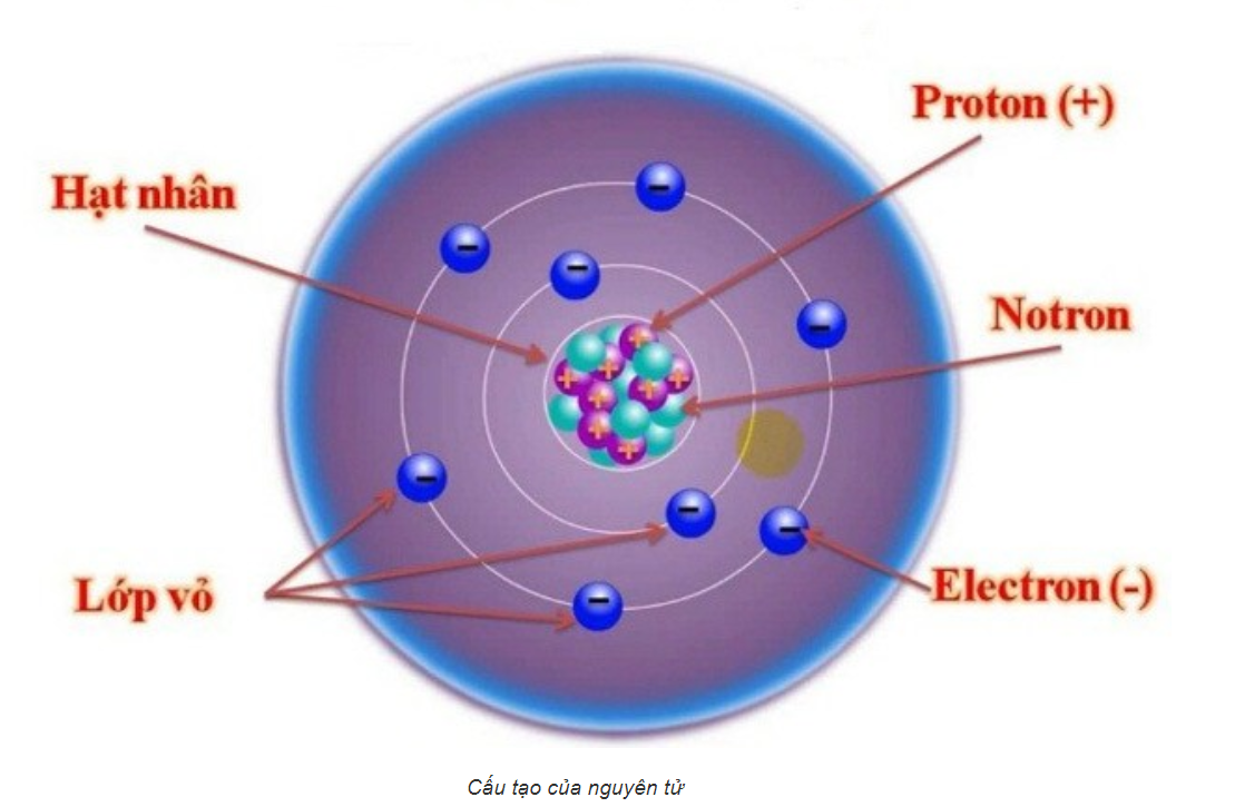 Các nguyên tử và loài người